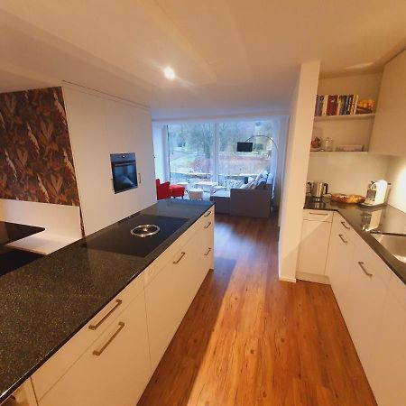 Neue Wohnung An Stadtrand Mit Parkplatz Ebikon Экстерьер фото