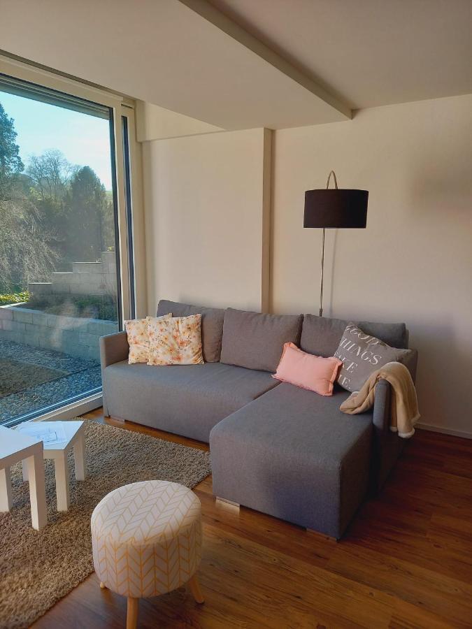 Neue Wohnung An Stadtrand Mit Parkplatz Ebikon Экстерьер фото