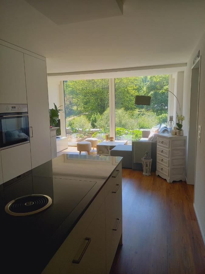 Neue Wohnung An Stadtrand Mit Parkplatz Ebikon Экстерьер фото